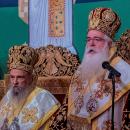 Μητροπολίτης Δημητριάδος