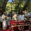 Πανήγυρις της Παναγίας Ξενιάς