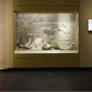 Πηνειός με ελέφαντες και ιπποπόταμους