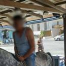 Στο άλογο καβάλα