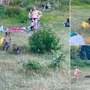 αγριογούρουνο στη Γερμανία