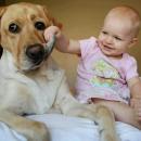 σκυλος και παιδί