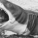 τα Σαγόνια του Καρχαρία