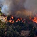 φωτιά σε δασική έκταση