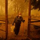 Όρεγκον πυρκαγιές