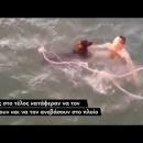 Επιβάτες φέρι μποτ σκύλος