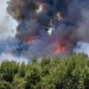 Φωτιά σε δάσος