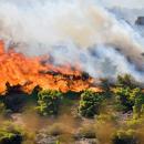 Φωτιά στη Ζάκυνθο