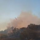 Φωτιά στην Ηλεία