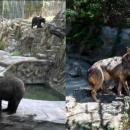 ζωολογικός κήπος θεσσαλονίκη