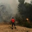 φωτιά στην Ανατολική Μάνη