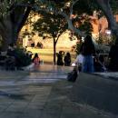 Απαγόρευση κυκλοφορίας