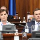 Σίνιζα Μάλι