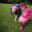 Χούγκο και Βέριτι