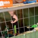 παιδί σε κλουβί 