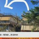 πετάει ο σκύλος