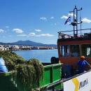 φορτηγίδα Αλκίππη