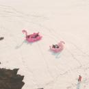 φουσκωτά φλαμίνγκο