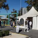 rapid tests