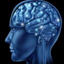 Έχεις αναρωτηθεί ποτέ πόσα γραμμάρια ζυγίζει ο εγκέφαλός σου; Δύσκολο βέβαια να το μάθεις, αν δεν τον βάλεις στη ζυγαριά