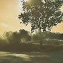 άλμα α λα Ντιούκς