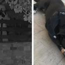 βέλος σε σκύλο