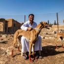 εκτροφείς σκύλων σαλούκι στη Συρία