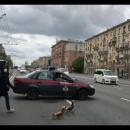 πάπιες στη Ρωσία