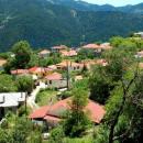 Κρίκελλο της Ευρυτανίας