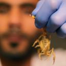 Mohamed Hamdy Boshta