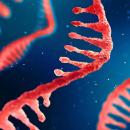 τεχνολογία mRNA