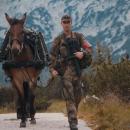 Μουλάρια στο γερμανικό στρατό