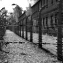 ναζιστικό στρατόπεδο συγκέντρωσης