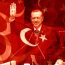Nuclear turkey