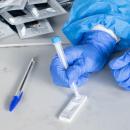 rapid test