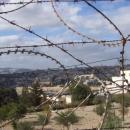 Συρματόπλεγμα στη Μόρφου