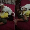 σκυλάκι και αγοράκι