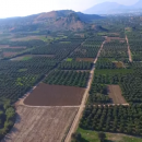 Μεσαρά