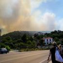 Κοκκάρι Σάμου