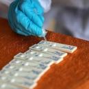 ραπιντ τεστ