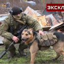 Ρώσος πεζοναύτης με σκύλο