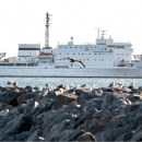 Akademik Ioffe