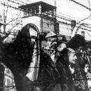 Ολοκαύτωμα