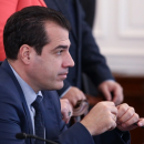 Πλεύρης