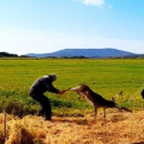 Ρόδος