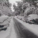 "Μπάρμπαρα"