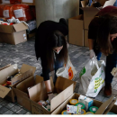 συγκέντρωση ειδών