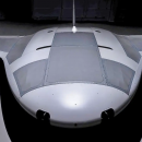 Manta Ray