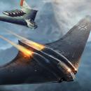 fighters
