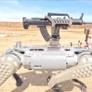 robot dog